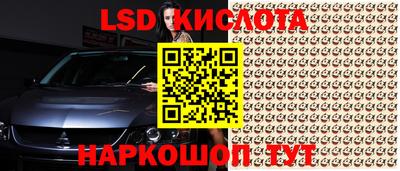Альфа ПВП Заволжье