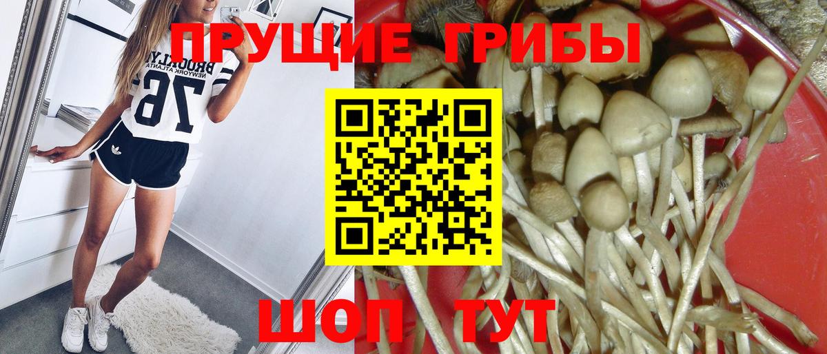 Псилоцибиновые грибы мухоморы  Вход с VPN  Галлюциногенные грибы Magic Shrooms  Кыштым 